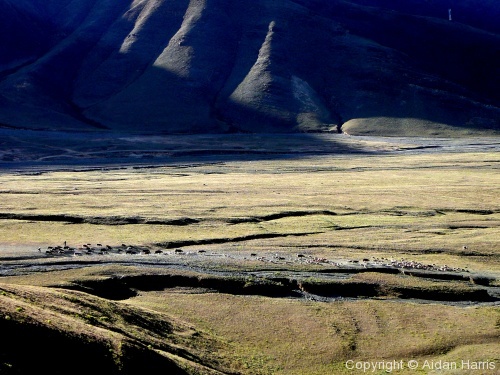 Tibet - Photo 6